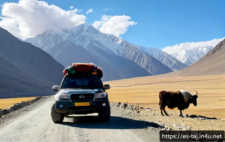 Meseta del Pamir: paisajes, rutas y criterios para organizar un viaje de aventura 3 파미르 고원의 매력 관련 이미지 1